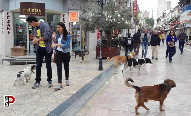 Vali Aksoy’dan, belediyelere ‘duyarlılık’ çağrısı