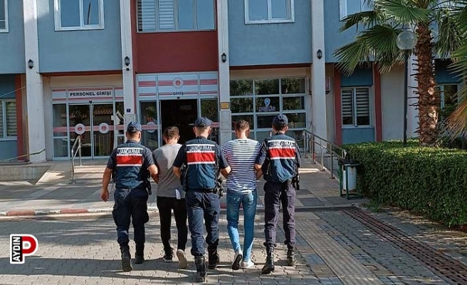 Zeytinyağı hırsızları, kıskıvrak yakalandı