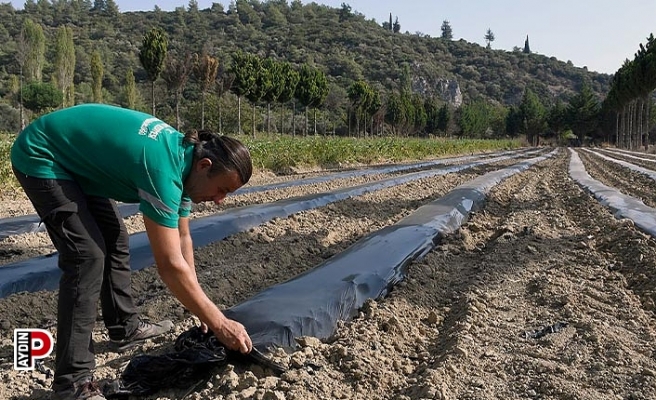 Adabahçe’de kış hazırlıkları başladı
