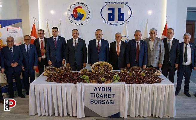 Aydın'da sezonun ilk kestanesi 350 TL’den alındı