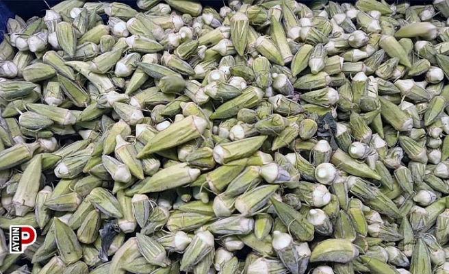 Aydın ekonomisine 5 ayda 50 milyon katkı sağlıyorlar