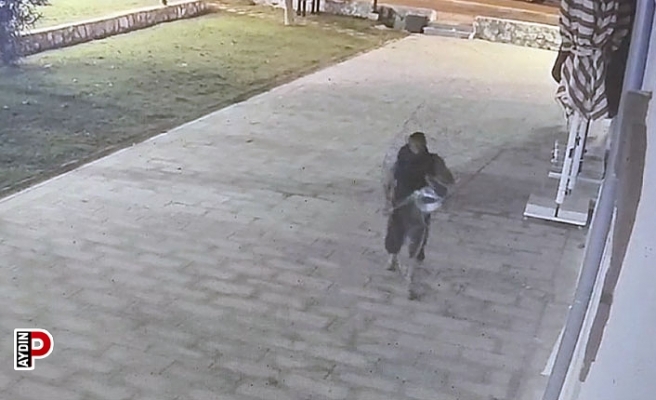 Kablo hırsızı yakalandı