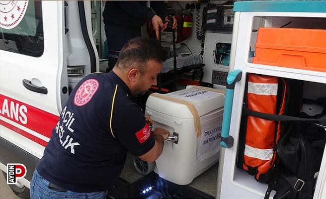 Aydın’da son 10 yılda 22 bin organ bağışı yapıldı