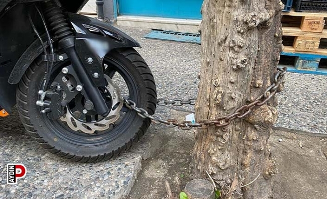 Motoru çalınmasın diye ağaca bağladı