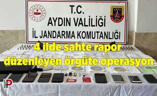 4 ilde sahte rapor düzenleyen örgüte operasyon