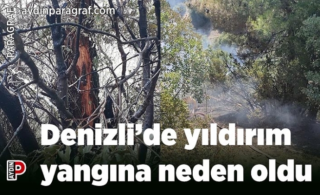 Denizli’de yıldırım yangına neden oldu