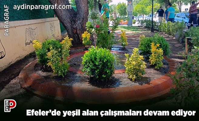 Efeler’de yeşil alan çalışmaları devam ediyor