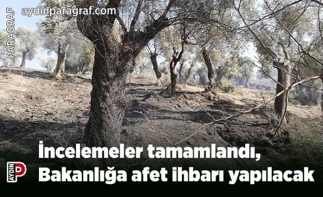 İncelemeler tamamlandı, Bakanlığa afet ihbarı yapılacak