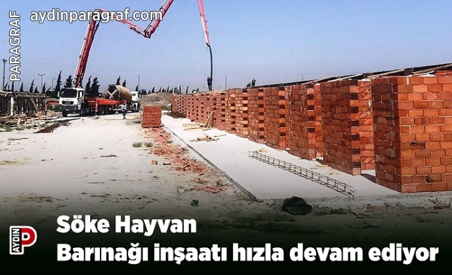 Söke Hayvan Barınağı inşaatı hızla devam ediyor