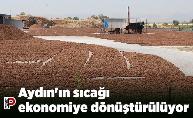Aydın'ın sıcağı ekonomiye dönüştürülüyor