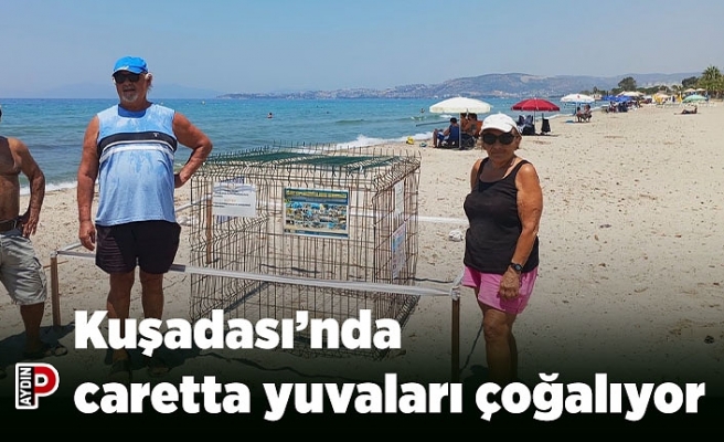 Kuşadası’nda caretta yuvaları çoğalıyor