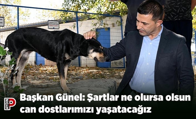 Başkan Günel: Şartlar ne olursa olsun can dostlarımızı yaşatacağız