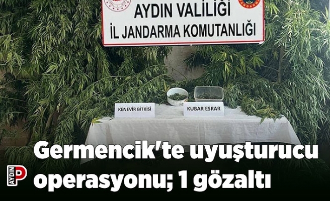 Germencik'te uyuşturucu operasyonu; 1 gözaltı