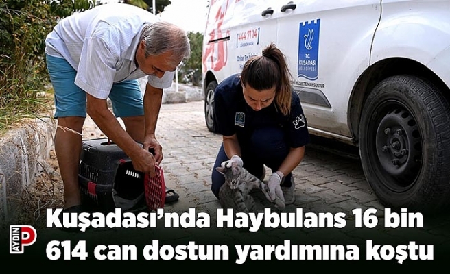Kuşadası’nda Haybulans 16 bin 614 can dostun yardımına koştu
