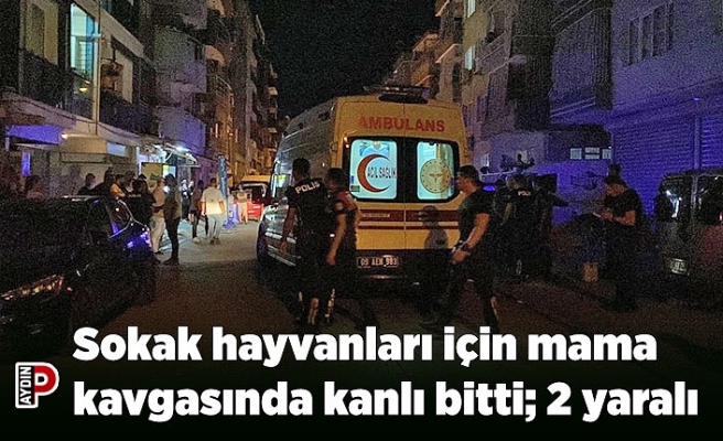 Sokak hayvanları için mama kavgasında kanlı bitti; 2 yaralı