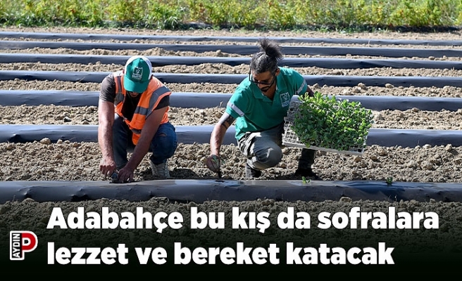Adabahçe bu kış da sofralara lezzet ve bereket katacak