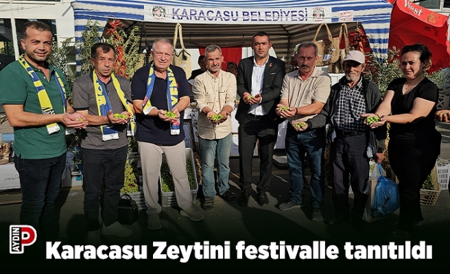 Karacasu Zeytini festivalle tanıtıldı