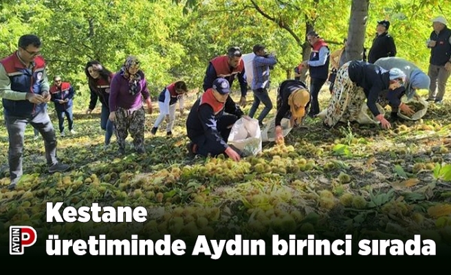 Kestane üretiminde Aydın birinci sırada