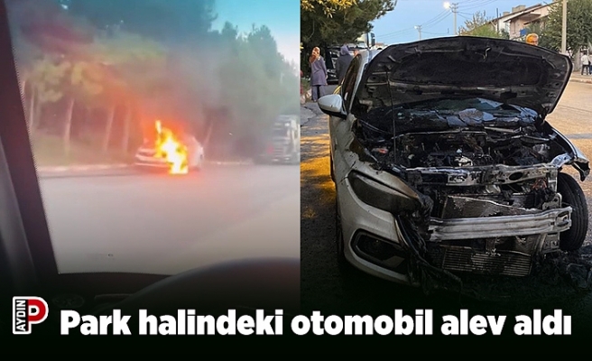 Park halindeki otomobil alev aldı