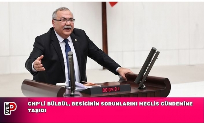 CHP’Lİ BÜLBÜL, BESİCİNİN SORUNLARINI MECLİS GÜNDEMİNE TAŞIDI
