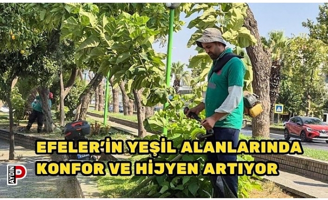EFELER’İN YEŞİL ALANLARINDA KONFOR VE HİJYEN ARTIYOR
