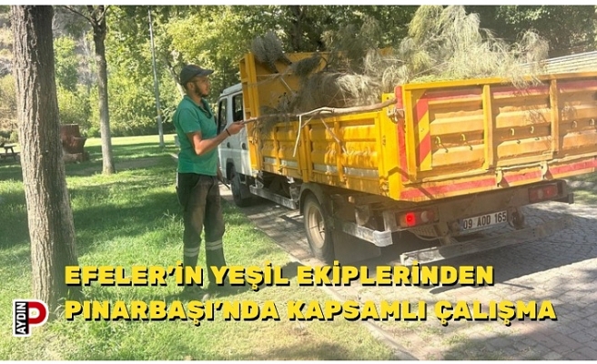 EFELER’İN YEŞİL EKİPLERİNDEN PINARBAŞI’NDA KAPSAMLI ÇALIŞMA