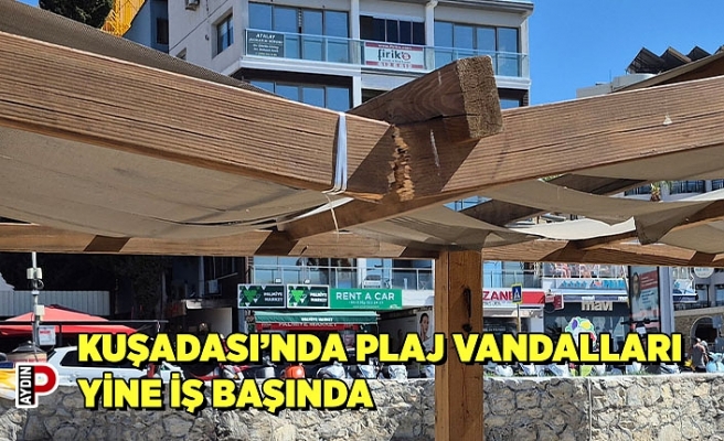 KUŞADASI’NDA PLAJ VANDALLARI YİNE İŞ BAŞINDA