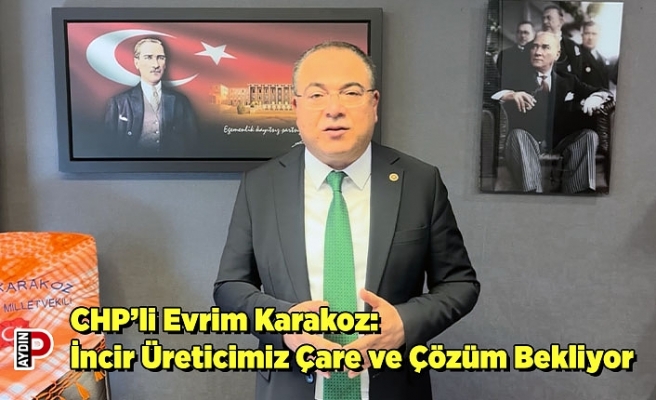 CHP’li Evrim Karakoz: İncir Üreticimiz Çare ve Çözüm Bekliyor