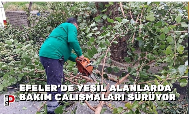 EFELER’DE YEŞİL ALANLARDA BAKIM ÇALIŞMALARI SÜRÜYOR