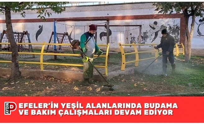 EFELER’İN YEŞİL ALANLARINDA BUDAMA VE BAKIM ÇALIŞMALARI DEVAM EDİYOR