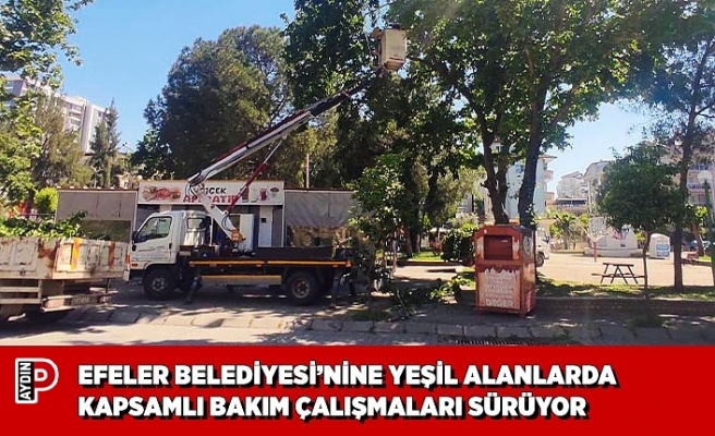 EFELER BELEDİYESİ’NİNE YEŞİL ALANLARDA KAPSAMLI BAKIM ÇALIŞMALARI SÜRÜYOR