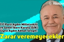 Sezgin: Zarar veremeyecekler