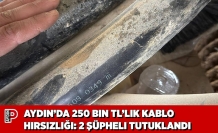 AYDIN’DA 250 BIN TL’LIK KABLO HIRSIZLIĞI: 2 ŞÜPHELI TUTUKLANDI