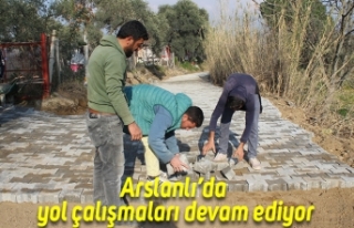 Arslanlı’da yol çalışmaları devam ediyor