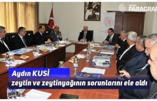 Aydın KUSİ zeytin ve zeytinyağının sorunlarını...