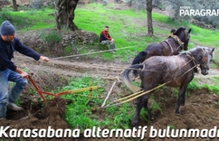 Karasabana alternatif bulunmadı