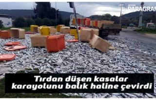 Tırdan düşen kasalar karayolunu balık haline çevirdi