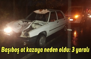 Başıboş at kazaya neden oldu: 3 yaralı