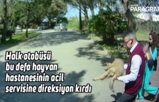 Halk otobüsü bu defa hayvan hastanesinin acil servisine...