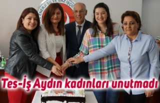 Tes-İş Aydın kadınları unutmadı