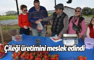 Çileği üretimini meslek edindi