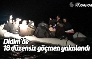Didim’de 18 düzensiz göçmen yakalandı
