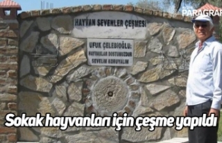 Sokak hayvanları için çeşme yapıldı