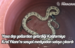 Yasa dışı yollardan getirdiği Kaliforniya Kral...