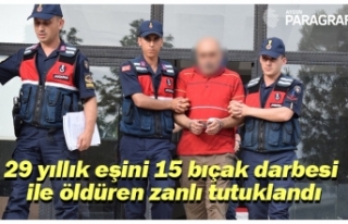 29 yıllık eşini 15 bıçak darbesi ile öldüren...