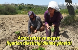 Artan sebze ve meyve fiyatları tüketiciyi dikime...