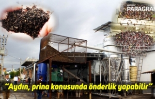 “Aydın, prina konusunda önderlik yapabilir”