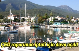 ÇED raporunun iptali için dava açıld
