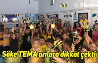Söke TEMA arılara dikkat çekti