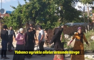 Yabancı uyruklu aileler arasında kavga